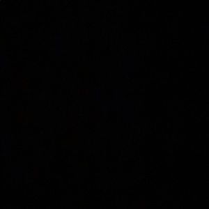 Meet your Posher, Warren